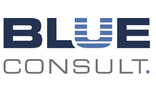 BLUE Consult - logo