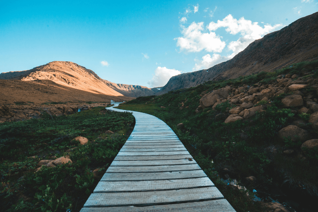 Header Artikel Körpersprache (1030 x 687 px)